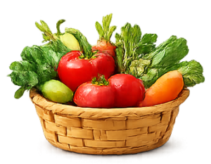 Blog test 3